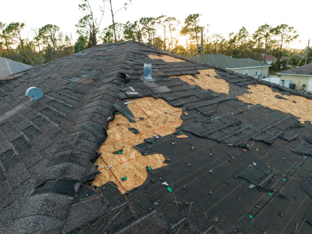 Best Commercial Roofing Services  in Shillington, PA